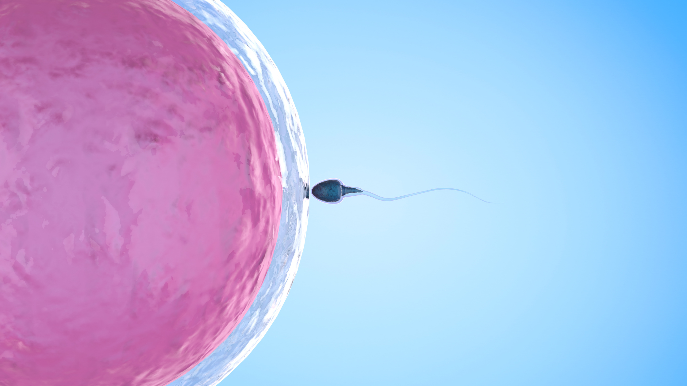 Por que avaliar a reserva ovariana é importante para preservar a fertilidade?